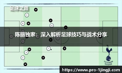 陈丽独家：深入解析足球技巧与战术分享